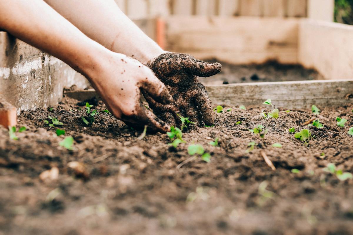 Non Toxic Garden Gloves: 7 Proven Tips to Avoid Costly Mistakes