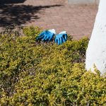 Premium Green Rubber Gloves: 7 Proven Ways to Avoid Costly Cleaning Mistakes